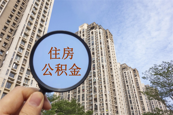 无棣上海代取公积金正规平台（无棣上海代办公积金提取怎么收费）